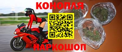 крисы Волгодонск