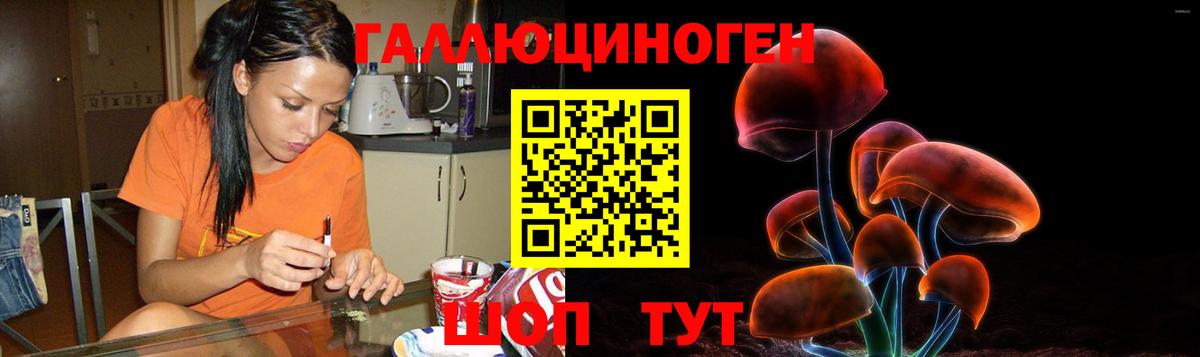 Шелехов  Галлюциногенные грибы прущие грибы  Вход с VPN 